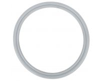 Прокладка EPDM для форсунки гідромасажного басейну IQUE 5" (CMP26200255001)